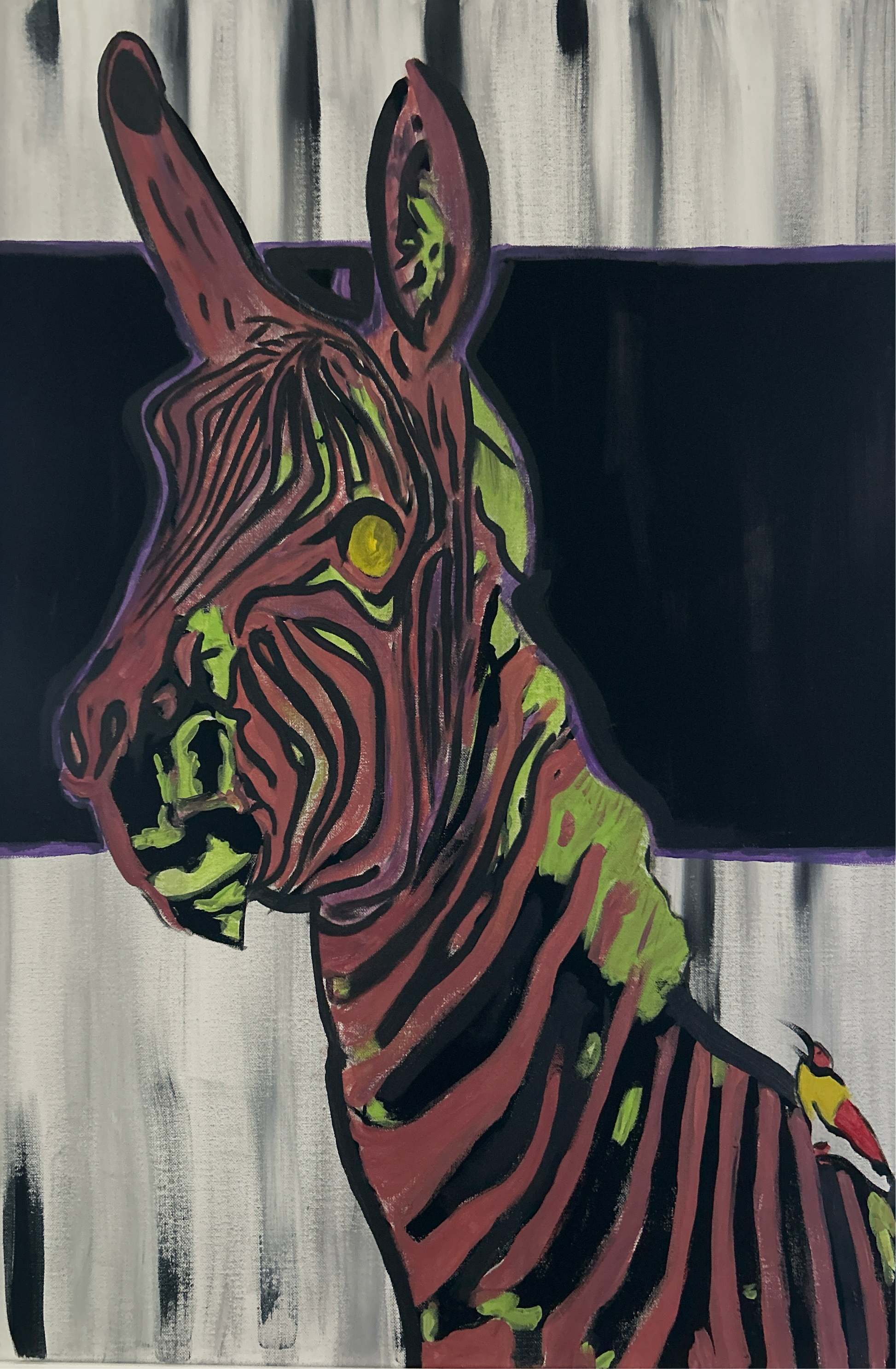 Magnificent Zebra 11"x14" Print